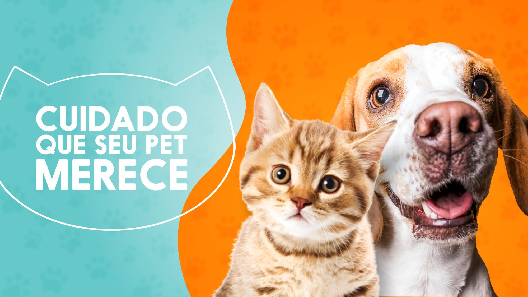 Cachorro e gato em uma arte colorida da Pet Perfeito