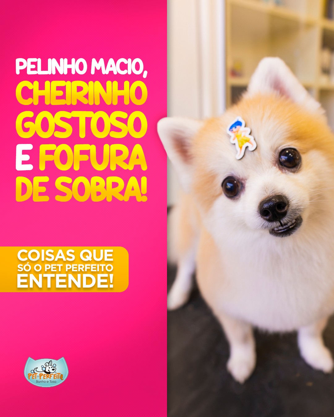 Post da Pet Perfeito sobre pelinho macio e cheirinho gostoso